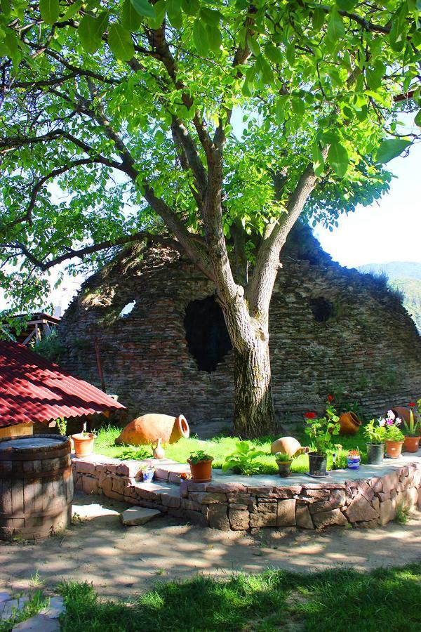 Hotel Beni Akhaltsikhe  Esterno foto